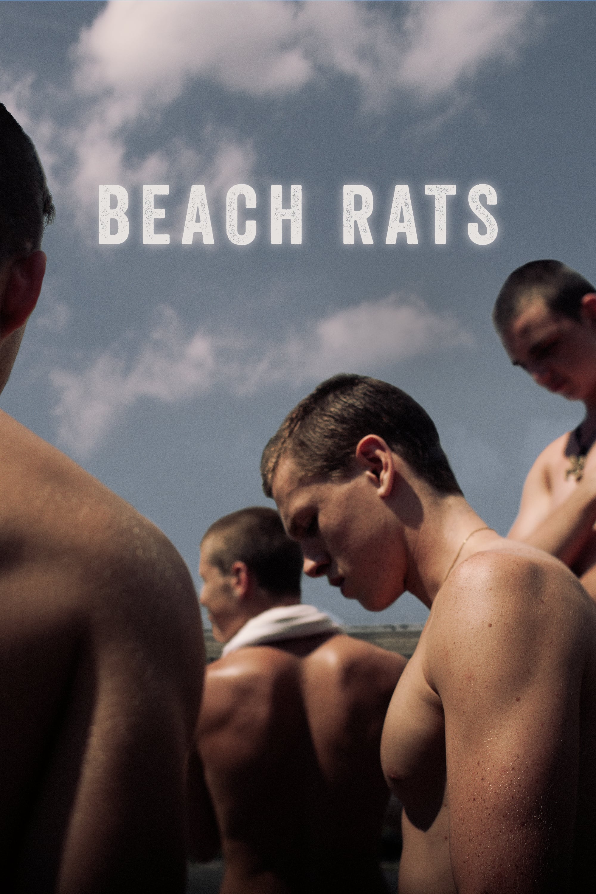 постер Пляжные крысы